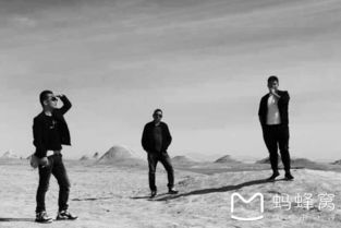 西出阳关无故人的意思，劝君更尽一杯酒西出阳关无故人的意思