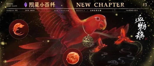 掌机小精灵小陨星在哪