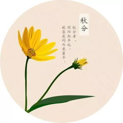77年冬月初九是什么命格