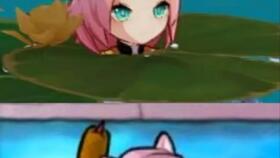 原神猫猫