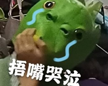 绿鱼人头套出处是哪里?