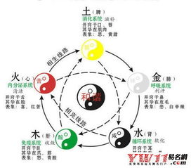 五行的相生相克关系图,五行图(关于五行相生相克)?