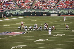 北美洲盛行的橄榄球,为什么没有流行于全世界?