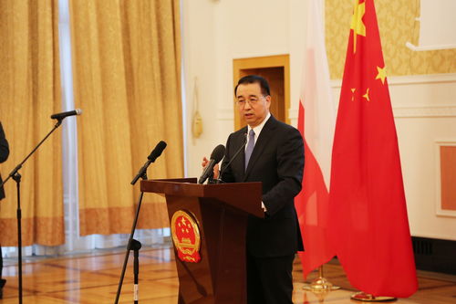 刘光源，刘光源大使是什么行政级别