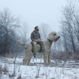 与巨型犬恋爱，与巨型犬恋爱之类的小说