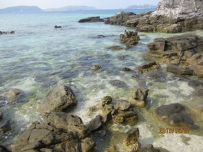 冲绳奴隶岛