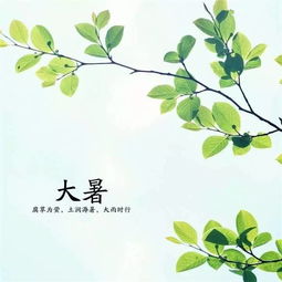 大暑句子，大暑的句子