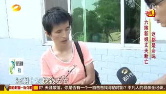 小丽的故事，小头爸爸和小丽的故事