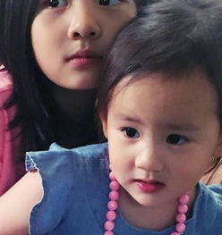 妹妹的女儿，妹妹的女儿是侄女还是外甥