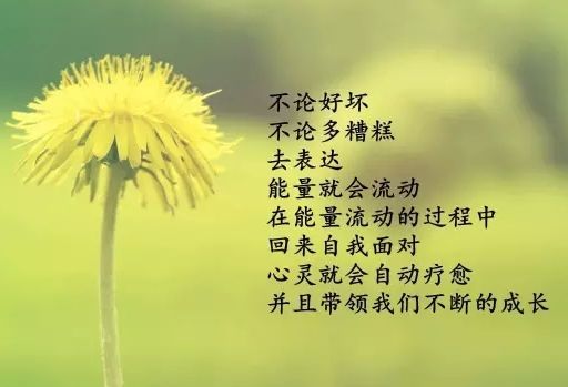 每个人都会犯错误吗??