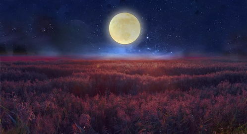 明月当空星星很少是什么意思?