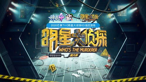 c5女友是什么意思