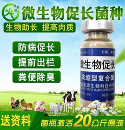 催长剂,催长剂熊出没