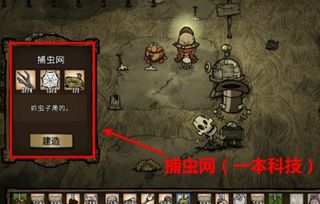 饥荒蜜蜂怎么捕捉，饥荒蜜蜂怎么捕捉