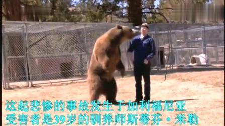 精英霸王龙怎么强制驯养