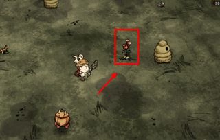 饥荒怎么抓蜜蜂