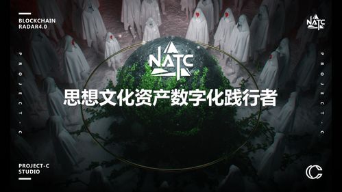 蜜蜂矿池，蜜蜂矿池官网