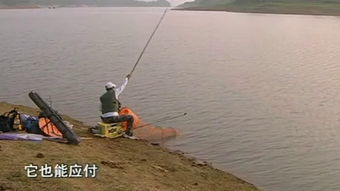 钓鱼拉丝粉什么牌子好