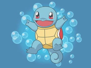 杰尼龟，杰尼龟图片