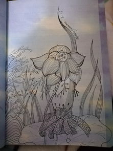 画稿，画稿素材