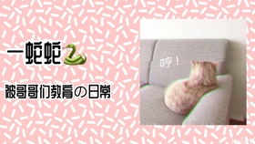 有什么好网站下片的