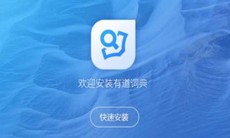 有道词典翻译是什么?