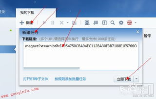 有哪些ios好用的磁力链接软件?