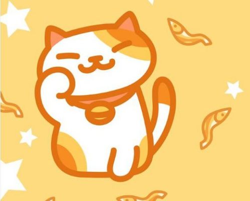 猫咪后院