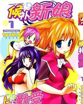 候补新娘，候补新娘葵