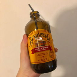 姜汁汽水，姜汁汽水什么味道