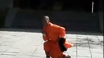 金刚拳，金刚拳怎么握图片