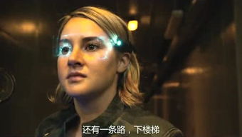 谍影迷踪
