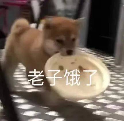 唐僧这张「生无可恋」图的出处是《西游记》里的哪一集