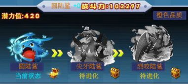 圆陆鲨进化