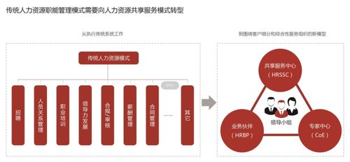 什么是bp