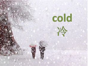 雪下的誓言有哪些呢?