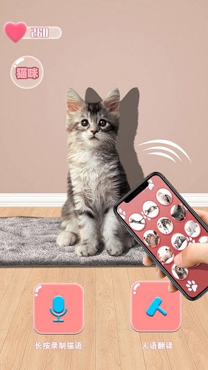 请问“动物”用英语怎么说?