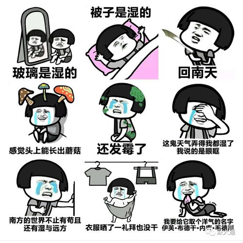 什么叫回南天?
