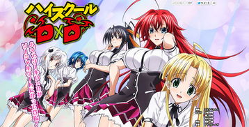 求highschooldxd第三季