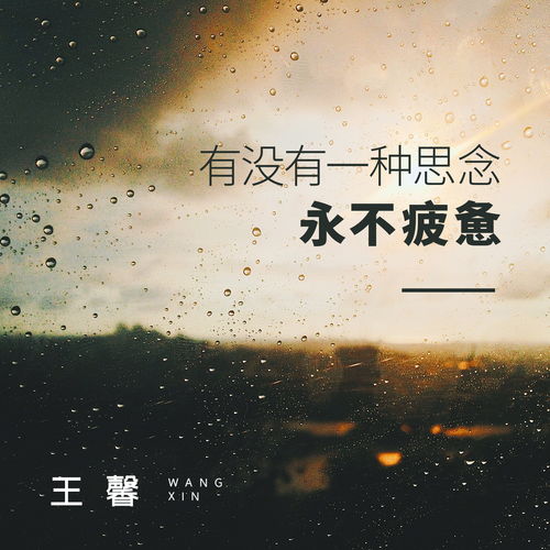 “有没有一种爱不叫人流泪”原唱是谁?