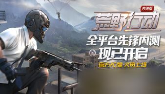 为什么我的荒野行动pc端官网没有pc端的?
