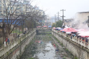 庇护城，庇护城协议在哪签