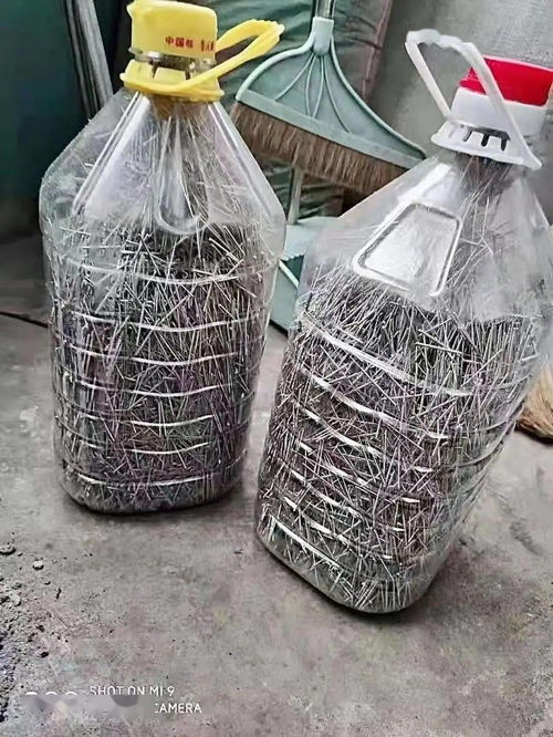 千针网络是免费的吗