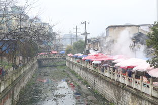 明日之后庇护城怎么晋级