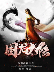 困龙大陆，困龙大陆男主几个老婆
