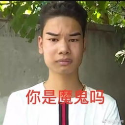 凭借，凭借的拼音