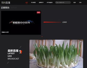 如何评价美剧《纸牌屋》?