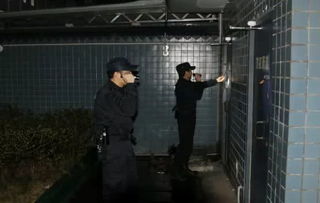 监狱人生，监狱人生rpg