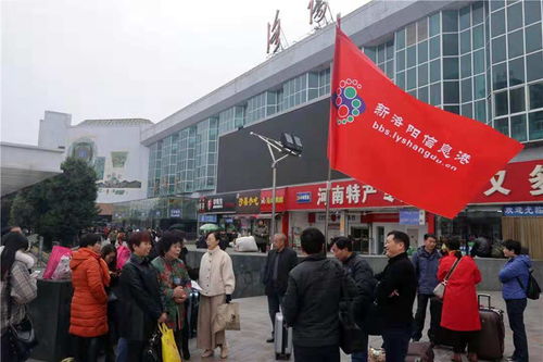 新洛阳信息港,新洛阳信息港洛阳城事