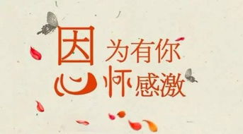 “感谢天感谢地感谢生命中的姐妹兄弟”是什么歌的歌词?